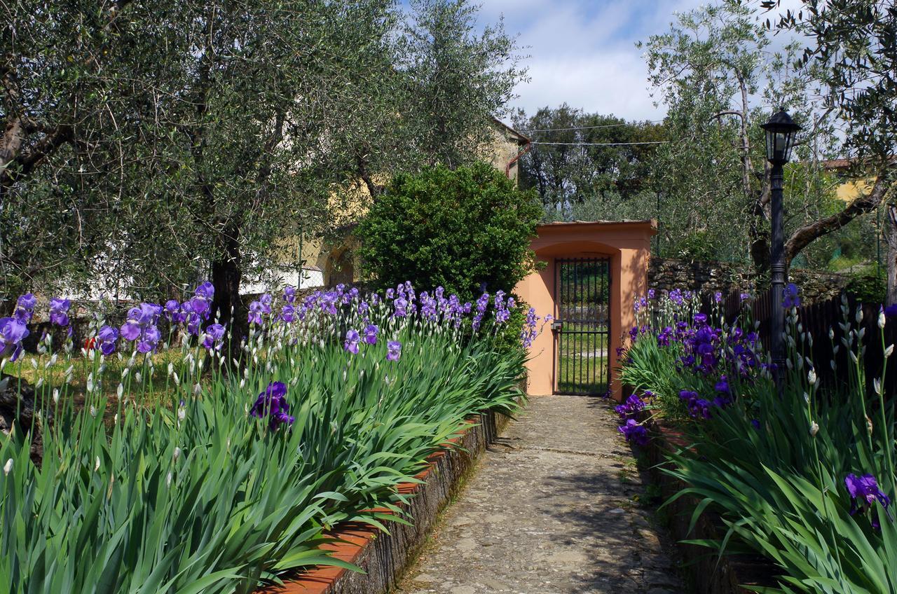 Villa Pacinotti ปิสโตยา ภายนอก รูปภาพ