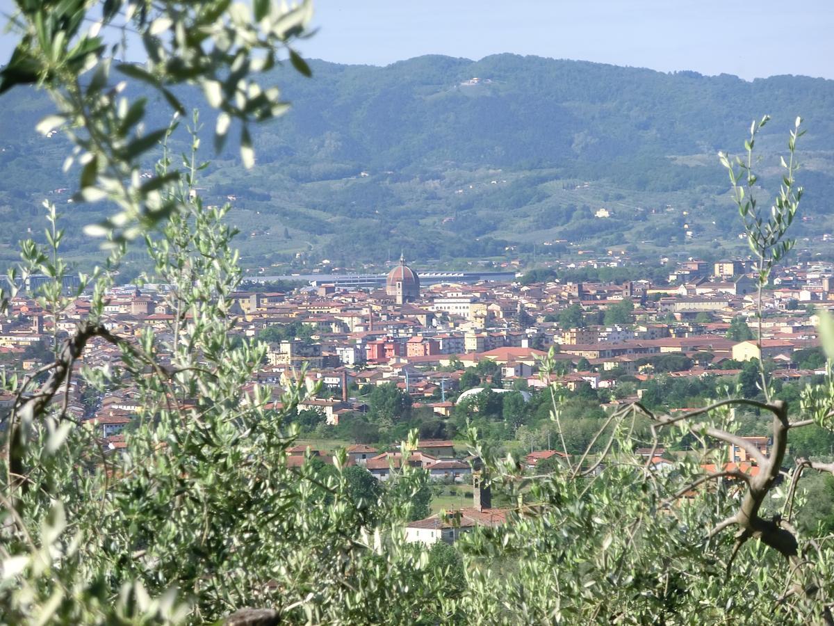 Villa Pacinotti ปิสโตยา ภายนอก รูปภาพ